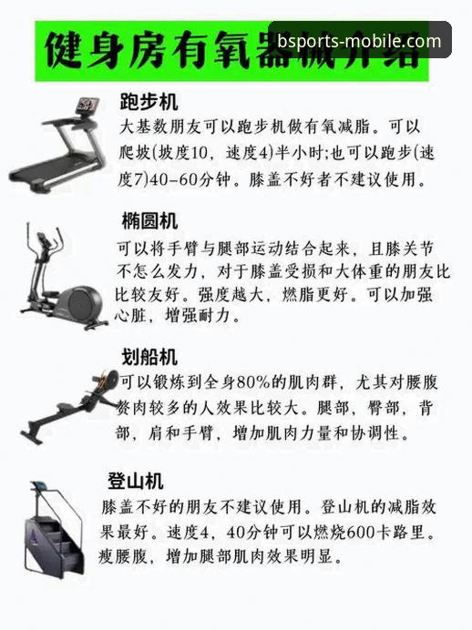 BSports体育平台安全使用指南：3个核心要点与5步下载安装详解